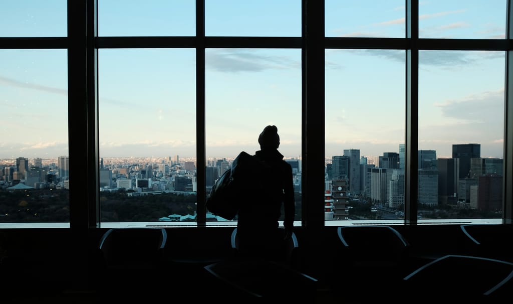 Silhouette of a person looking out over a city skyline through tall windows
